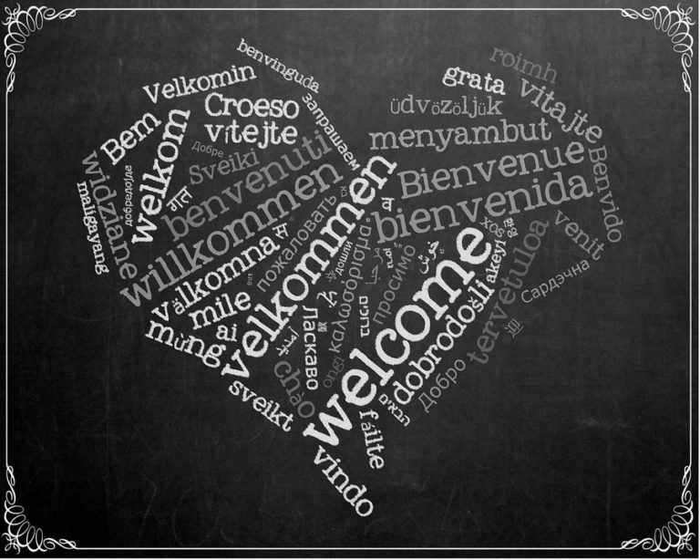translation services